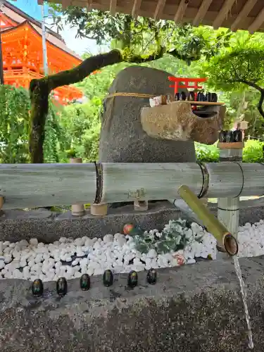 賀茂別雷神社（上賀茂神社）(京都府)
