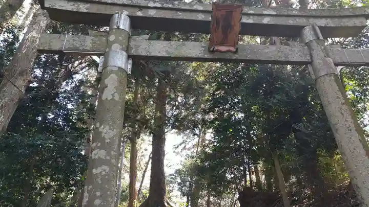 鼻節神社の鳥居
