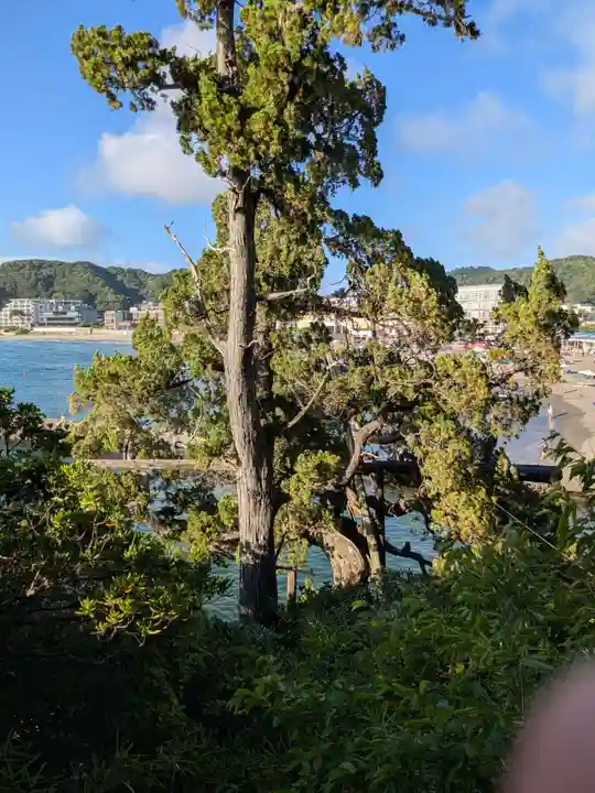 森戸大明神(森戸神社)(神奈川県)