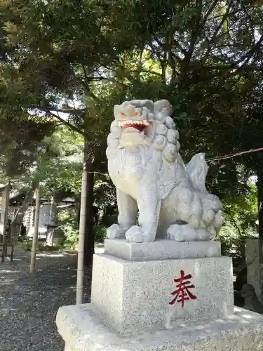 菊田神社の狛犬