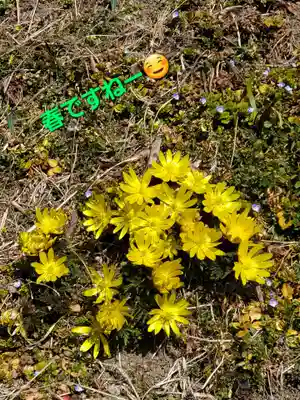 長屋神社(福島県)