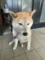 笠䅣稲荷神社(神奈川県)