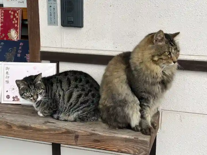 唐澤山神社(栃木県)