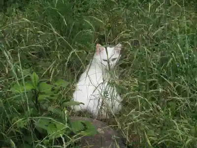 円通寺(埼玉県)