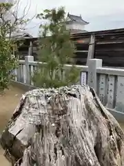 赤穂大石神社の自然