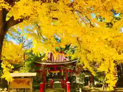 厳島神社の自然