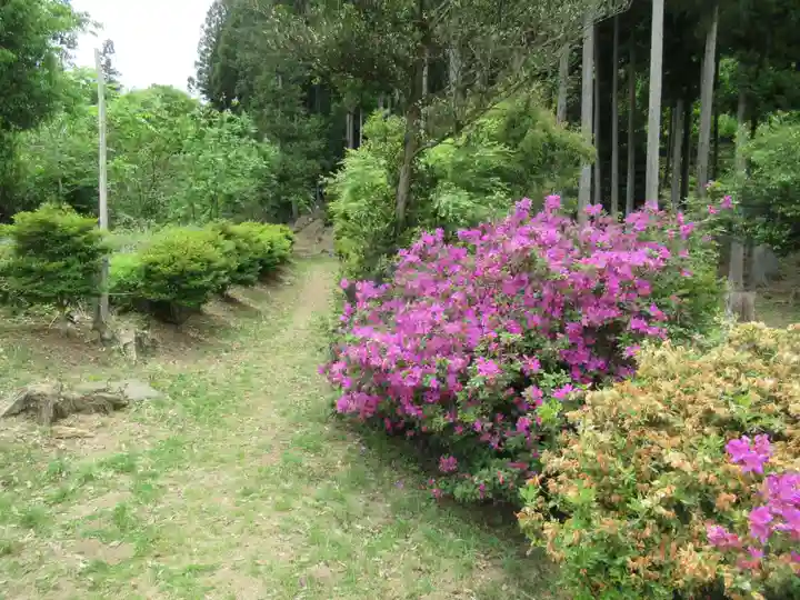 下山八幡神社の自然