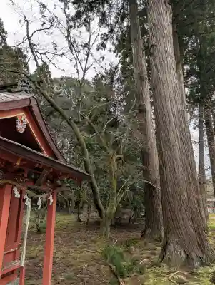 出石神社の{uncategorized: "未分類", other: "その他", undefined: "問題あり", building: "その他建物", grave: "お墓", sacred_gate: "鳥居", guardian: "狛犬", statue: "像", buddha: "仏像", history: "歴史", nature: "自然", garden: "庭園", animal: "動物", pagoda: "塔", temizu: "手水舎", mountain_gate: "山門・神門", sanctuary: "本殿・本堂", subordinate: "末社・摂社", art: "芸術", scenery: "景色", jizo: "地蔵", ema: "絵馬", goshuin: "御朱印", omikuji: "おみくじ", items: "授与品その他", amulet: "お守り", goshuincho: "御朱印帳", eats: "食事", festival: "お祭り", votive_dance: "神楽", shichigosan: "七五三参", wedding: "結婚式", experience: "体験その他", initially: "初詣", around: "周辺", anti_infection: "感染症対策"}