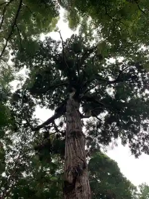 小野六所神社(千葉県)