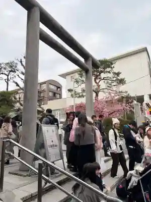桜神宮(東京都)