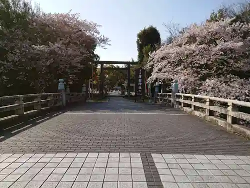 滋賀県護国神社の鳥居