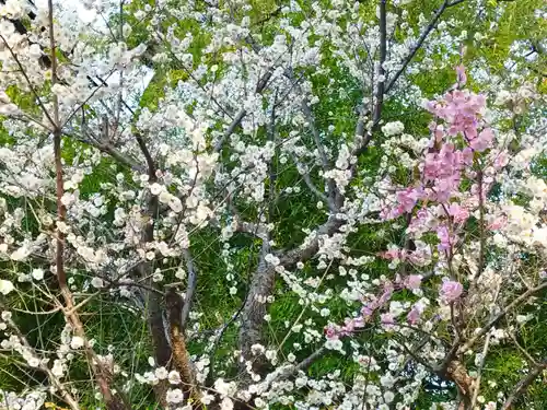 杭全神社(大阪府)