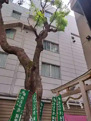 少彦名神社(大阪府)