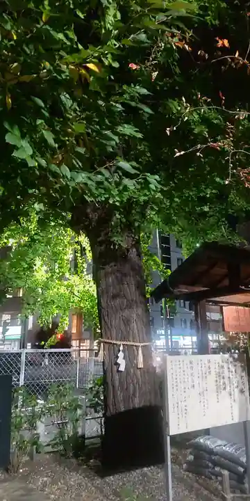 庚申神社(埼玉県)