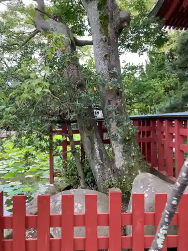 旗上弁財天社の自然