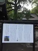 若宮八幡社の歴史