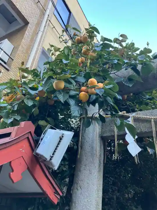 秋葉神社(東京都)