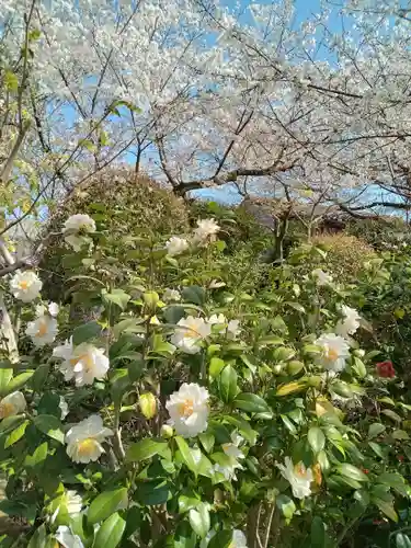 元慶寺(京都府)