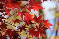 豊景神社の自然