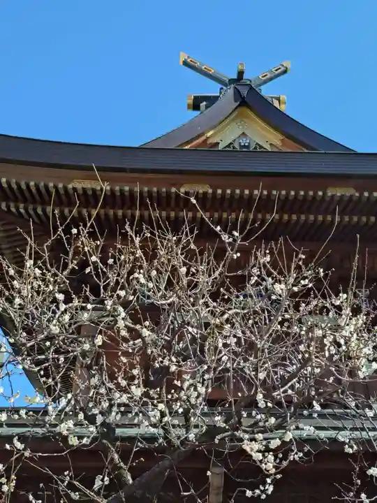 湯島天満宮(東京都)