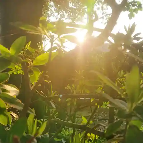 宗形神社(愛知県)