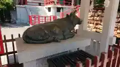 亀戸天神社の狛犬