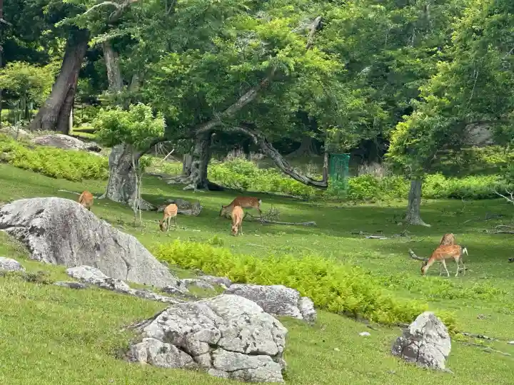 金華山黄金山神社(宮城県)