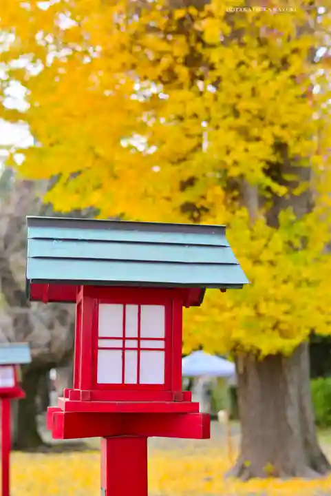 鷲宮神社(埼玉県)