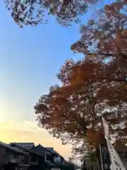 白鳥神社(長野県)