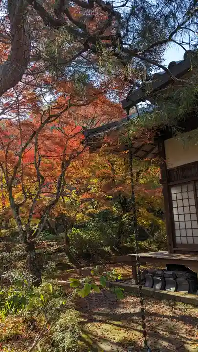 神藏寺(京都府)