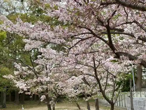 三津厳島神社の自然