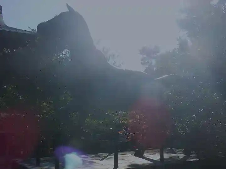 京都乃木神社の狛犬