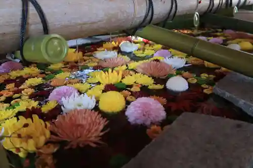 石清水八幡宮の手水舎