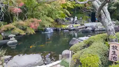 長谷寺(神奈川県)