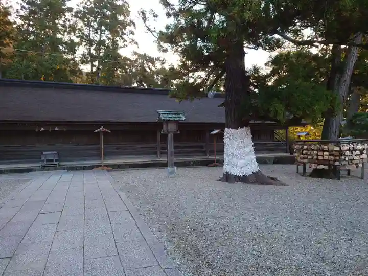 出雲大社(島根県)