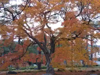 相国寺（相国承天禅寺）(京都府)