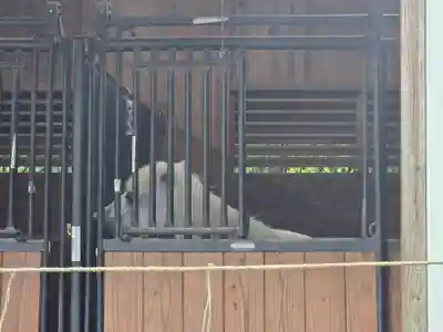 丹生川上神社（下社）(奈良県)
