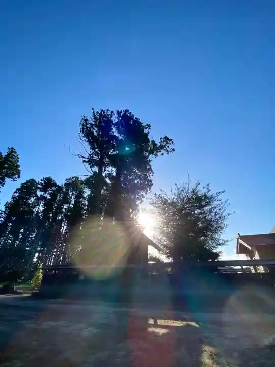 鹿嶋三嶋神社(茨城県)