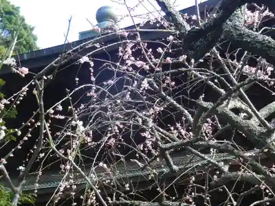 瑞泉寺のその他建物