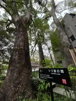來宮神社(静岡県)
