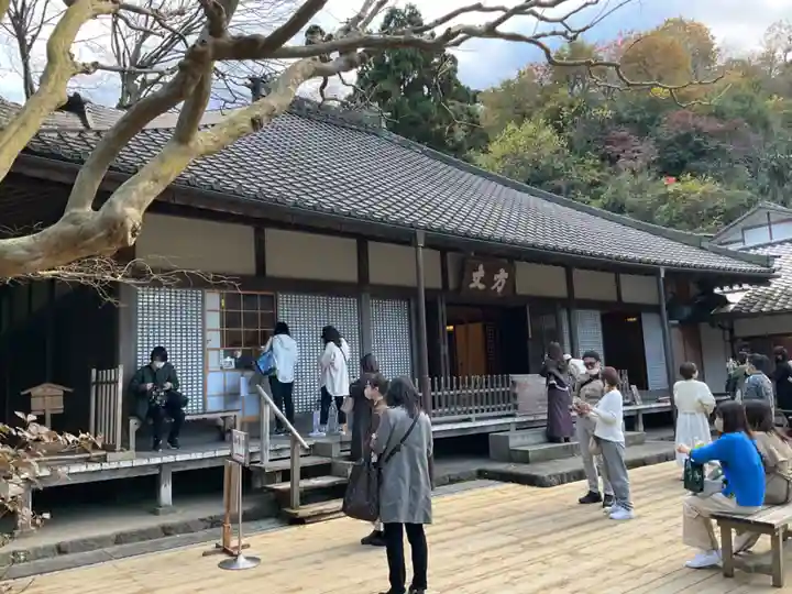 明月院(神奈川県)