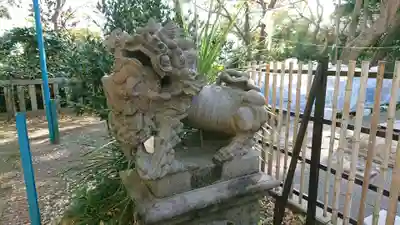 児玉神社の狛犬