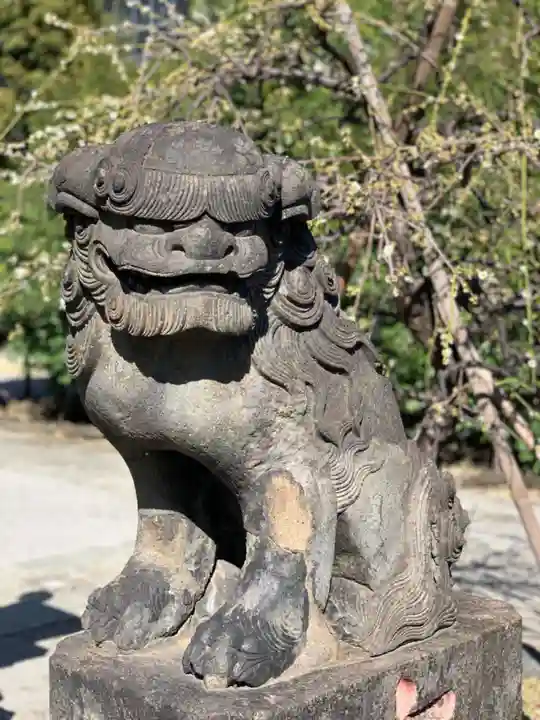 胡録神社の狛犬