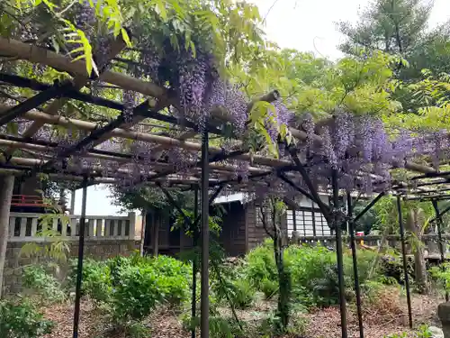 佐野原神社の自然