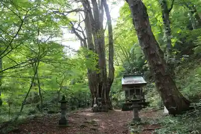 剣桂神社の景色