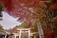 三峯神社(埼玉県)