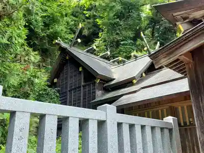 毛谷黒龍神社(福井県)