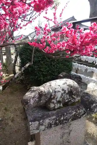 菅原天満宮（菅原神社）の狛犬