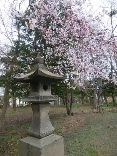 錦山天満宮の自然