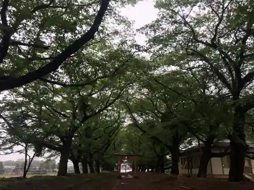 東蕗田天満社のその他建物